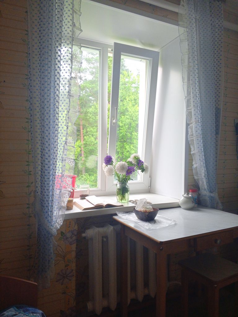 Продажа 1-комнатной квартиры, Сосновый,  15