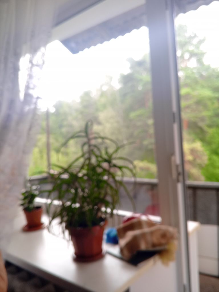 Продажа 1-комнатной квартиры, Сосновый,  15