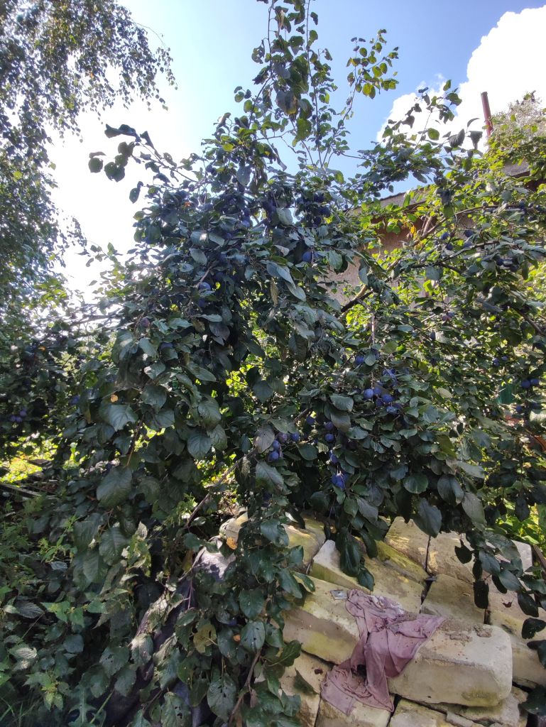 Продажа дома, 210м <sup>2</sup>, 15 сот., Новинки, Взгорье сад