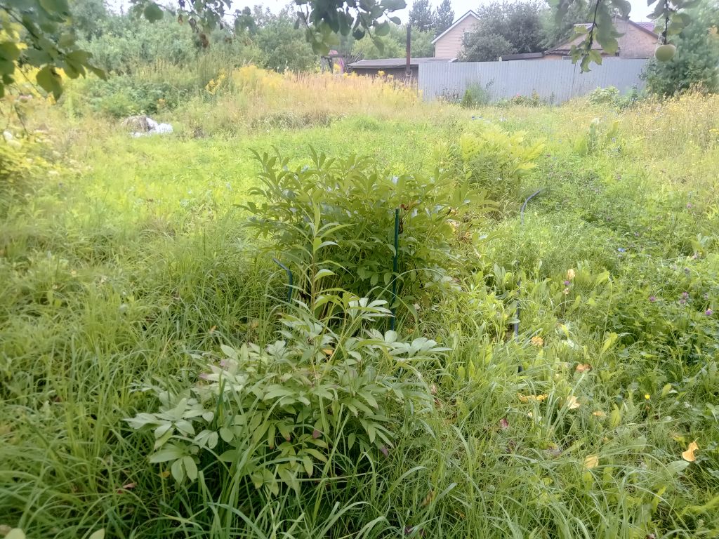 Продажа дачи, 53м <sup>2</sup>, 10 сот., Хмелевая Поляна, территория СНТ Ромашка,  610