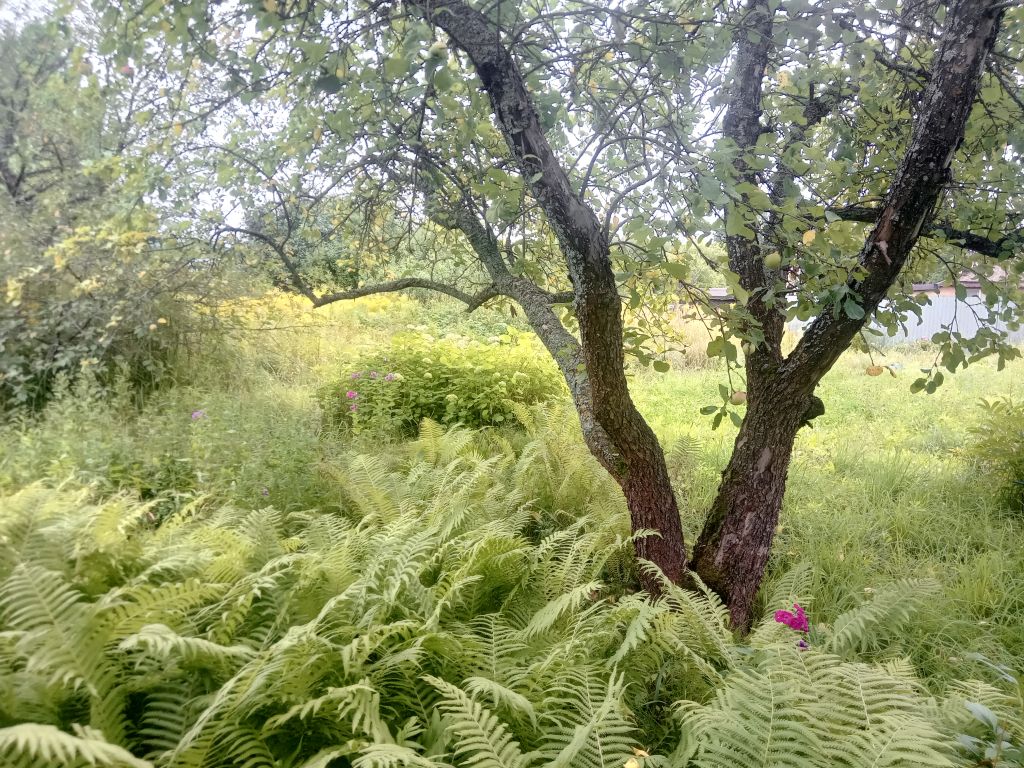 Продажа дачи, 53м <sup>2</sup>, 10 сот., Хмелевая Поляна, территория СНТ Ромашка,  610