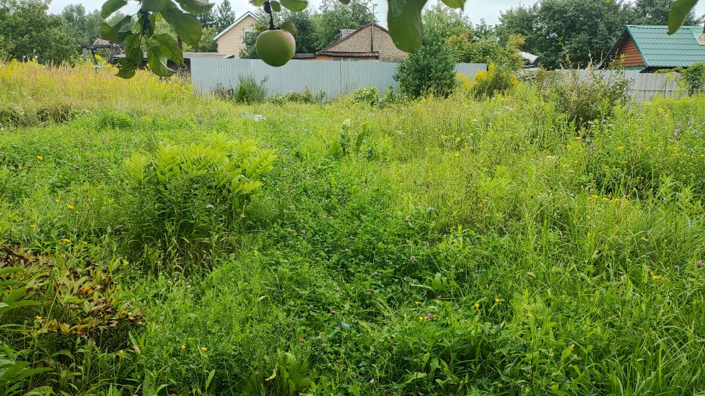 Продажа дачи, 53м <sup>2</sup>, 10 сот., Хмелевая Поляна, территория СНТ Ромашка,  610