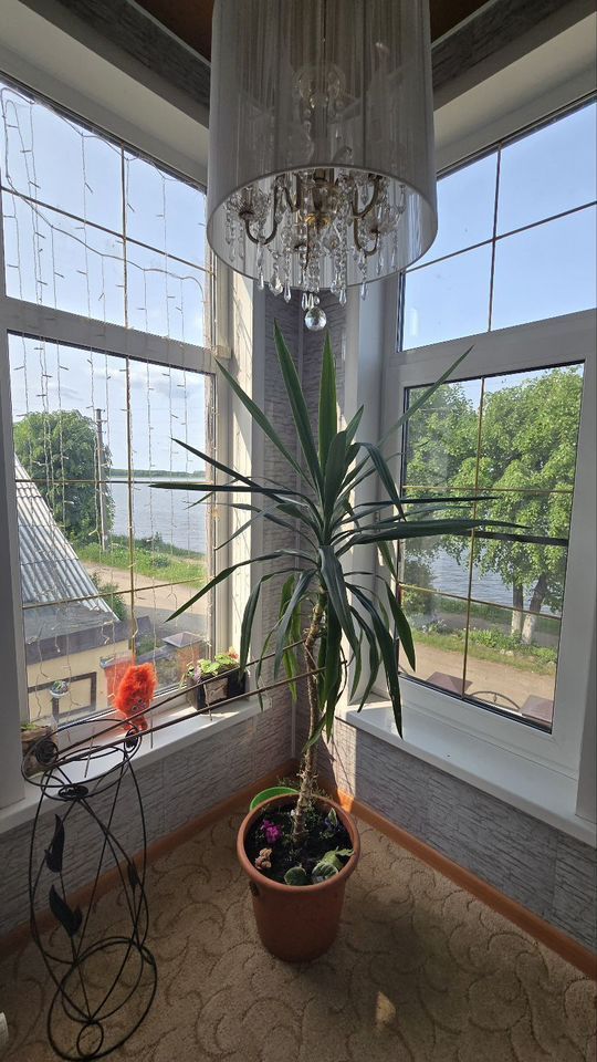 Продажа дома, 100м <sup>2</sup>, 2 сот., Кострома, Нижне-Набережная ул,  16