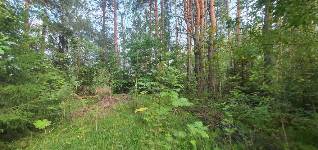 Продажа коммерческой недвижимости, 750м <sup>2</sup>, Подушкино