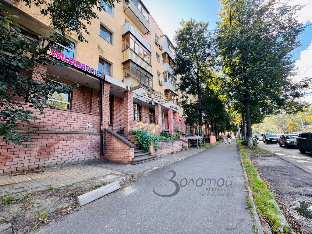 Продажа 1-комнатной квартиры, Нижний Новгород, Белинского ул,  55