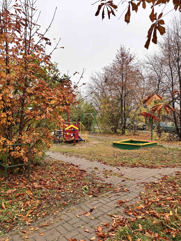 Продажа 1-комнатной квартиры, Афонино, Зелёная ул,  69