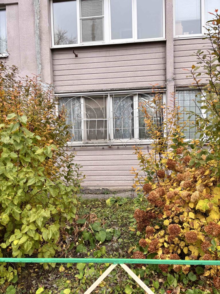 Продажа 1-комнатной квартиры, Афонино, Зелёная ул,  69