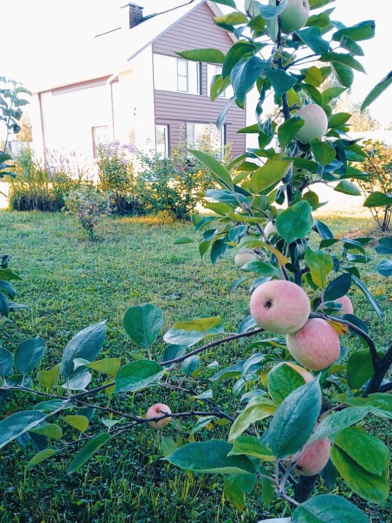 Продажа дома, 100м <sup>2</sup>, 10 сот., Клюшниково