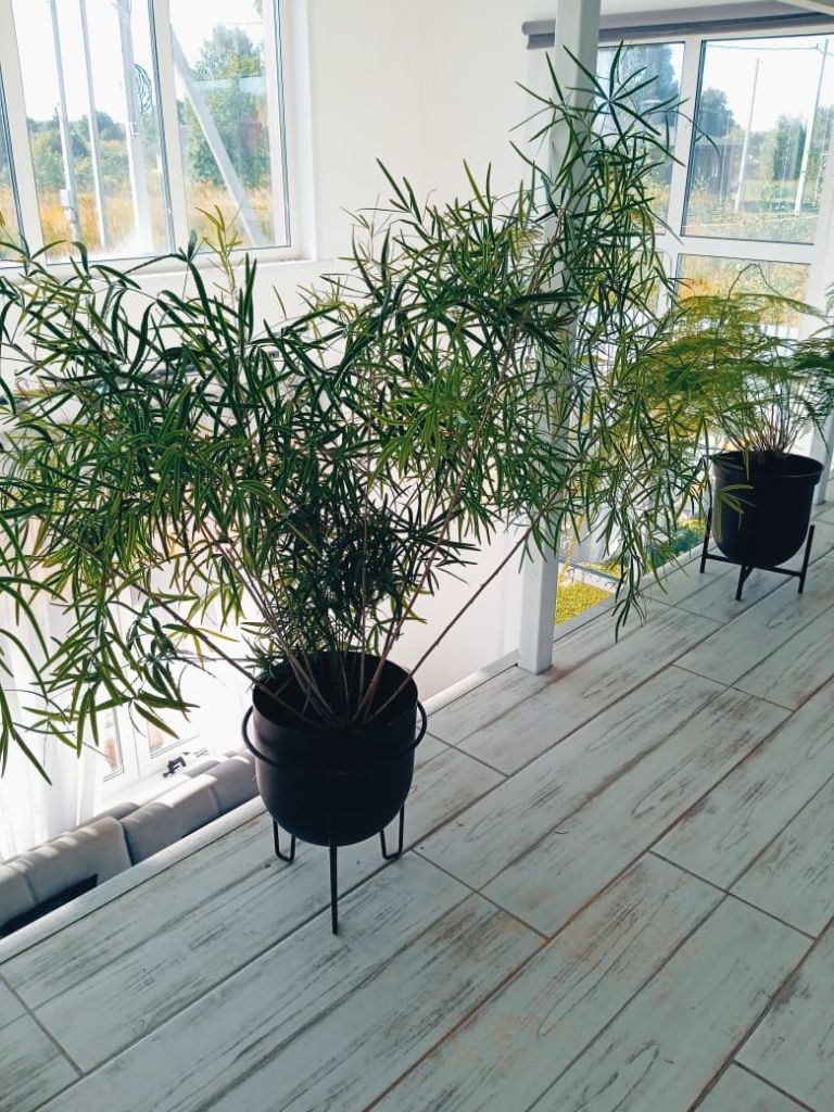 Продажа дома, 100м <sup>2</sup>, 10 сот., Клюшниково