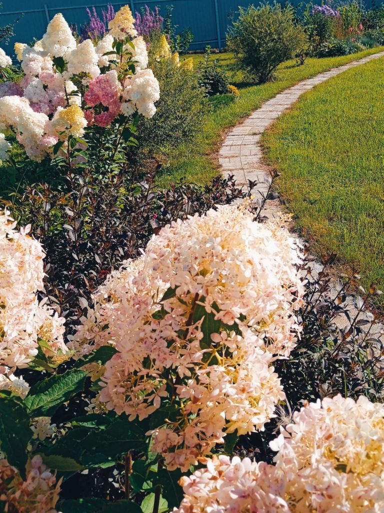 Продажа дома, 100м <sup>2</sup>, 10 сот., Клюшниково