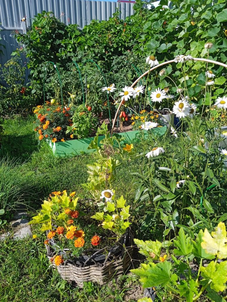 Продажа дома, 100м <sup>2</sup>, 10 сот., Клюшниково