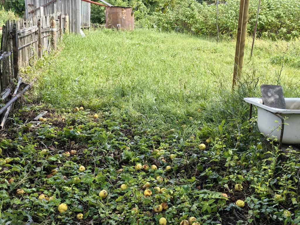 Продажа 3-комнатной квартиры, Лунино, Нагорная ,  33