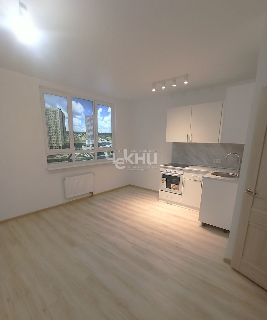 Продажа 1-комнатной новостройки, Анкудиновка, примерно в 0, 3 км на северо-восток от д.Анкудиновка