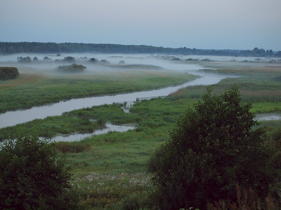 Продажа участка, Меховицы,  37:16:011202:25