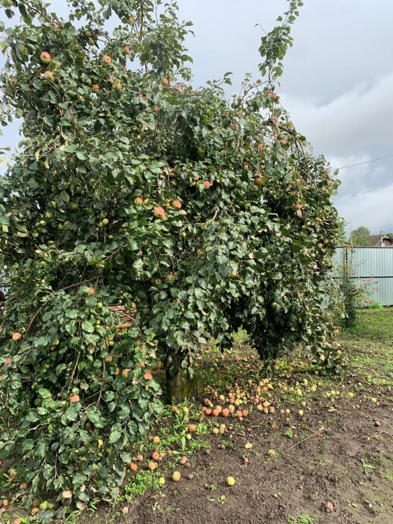 Продажа дома, 45м <sup>2</sup>, 8 сот., Кинешма, Войкова ул