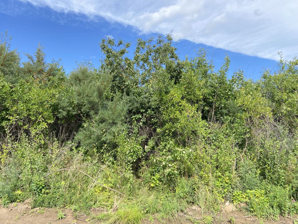 Продажа участка, Кострома, Героев ул,  55