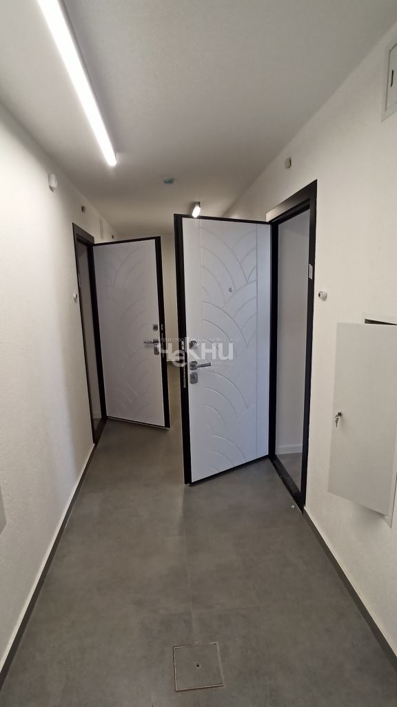 Продажа 1-комнатной новостройки, Культура, Развития