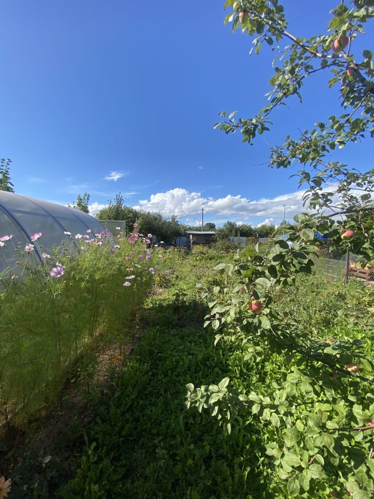 Продажа дачи, 11м <sup>2</sup>, 4 сот., Кострома, Поляны СНТ