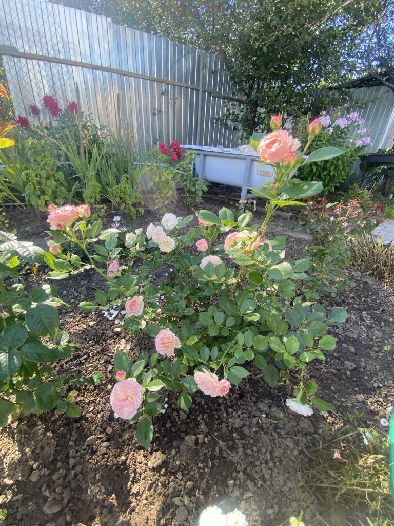 Продажа дачи, 11м <sup>2</sup>, 4 сот., Кострома, Поляны СНТ