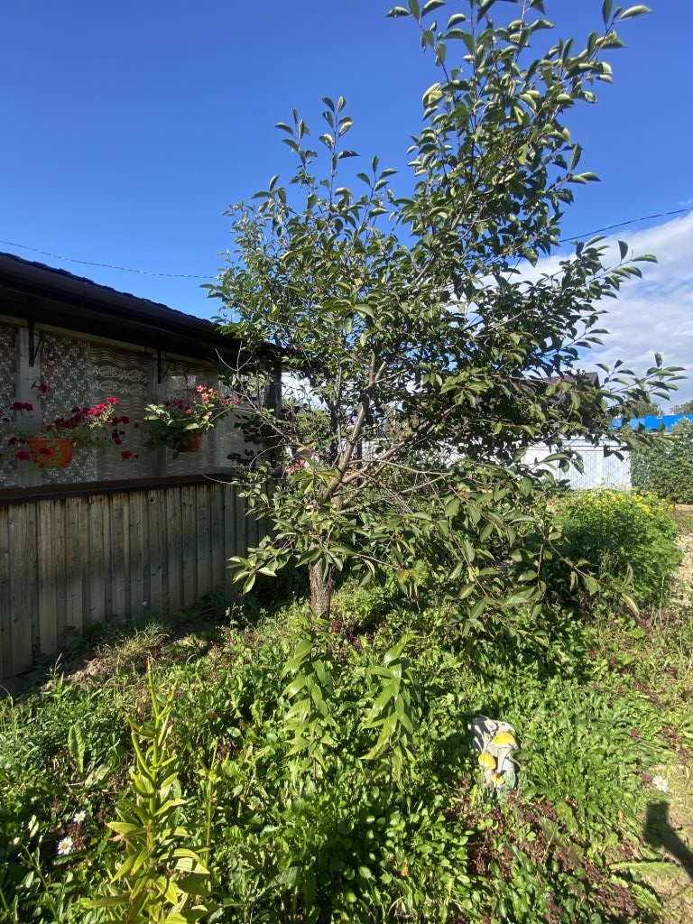 Продажа дачи, 11м <sup>2</sup>, 4 сот., Кострома, Поляны СНТ