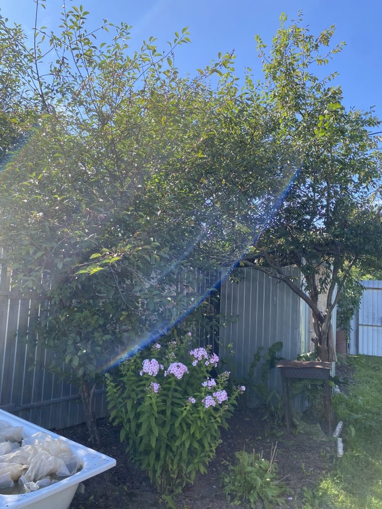 Продажа дачи, 11м <sup>2</sup>, 4 сот., Кострома, Поляны СНТ