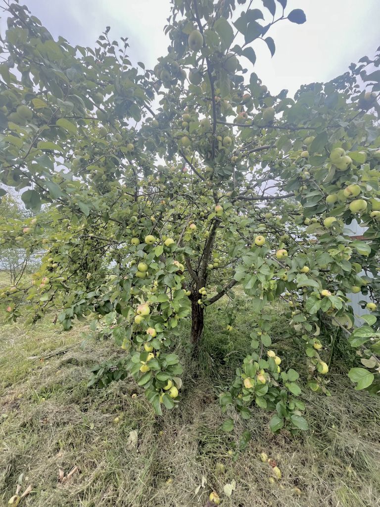 Продажа дома, 113м <sup>2</sup>, 15 сот., Волчково, новый быт,  2