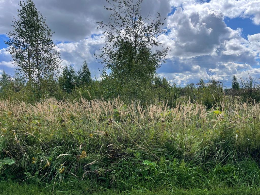 Продажа участка, Большая Брембола