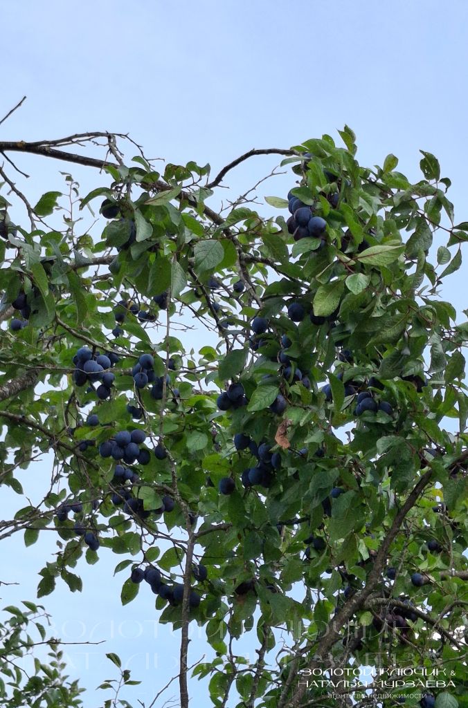 Продажа дома, 120м <sup>2</sup>, 6 сот., Нижегородская, СНТ Золотое Руно,  237