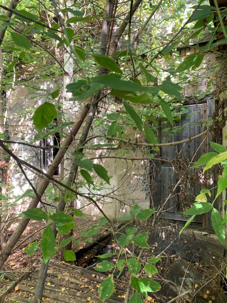 Продажа 2-комнатной квартиры, Гаврилов Посад, Лизы Болотиной ул,  59