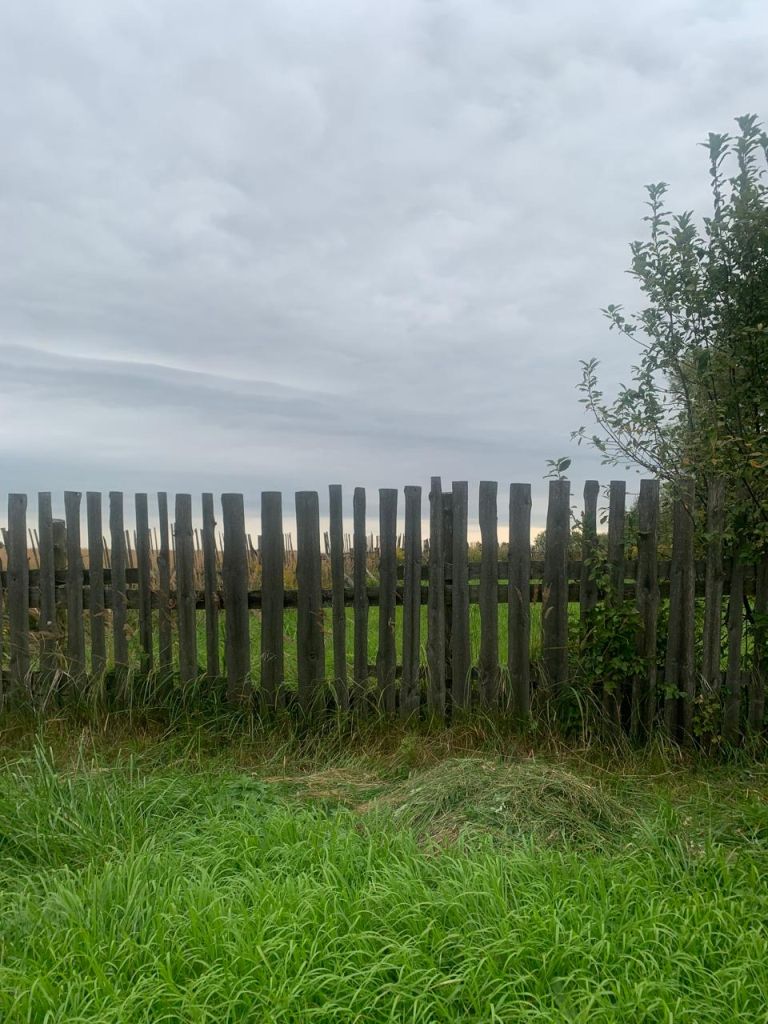 Продажа участка, Шатры,  37:03:011211:38