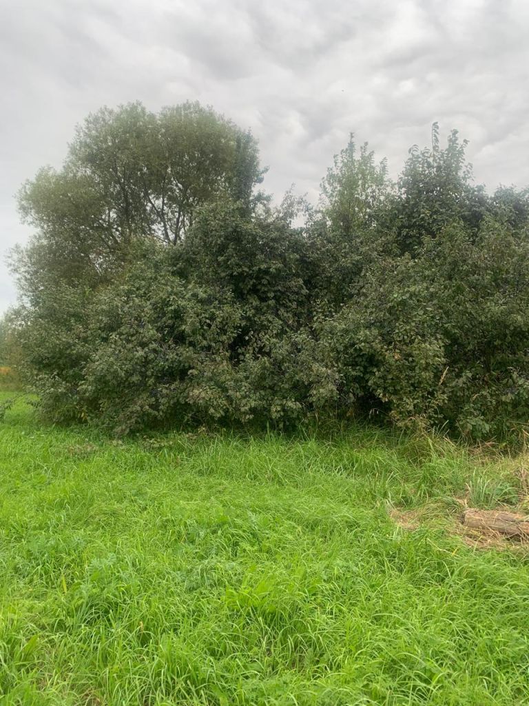 Продажа участка, Шатры,  37:03:011211:38