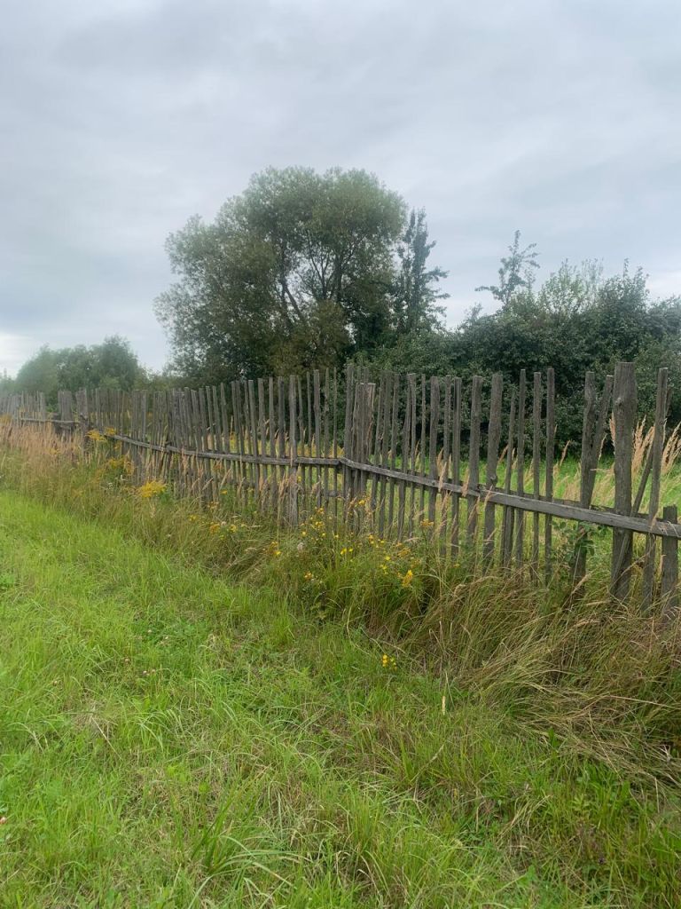 Продажа участка, Шатры,  37:03:011211:38