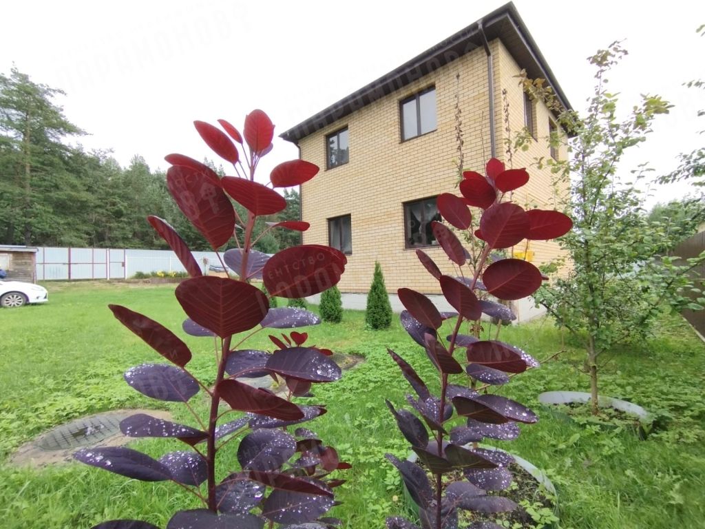 Продажа дома, 113м <sup>2</sup>, 6 сот., Глазково, переулок Славный