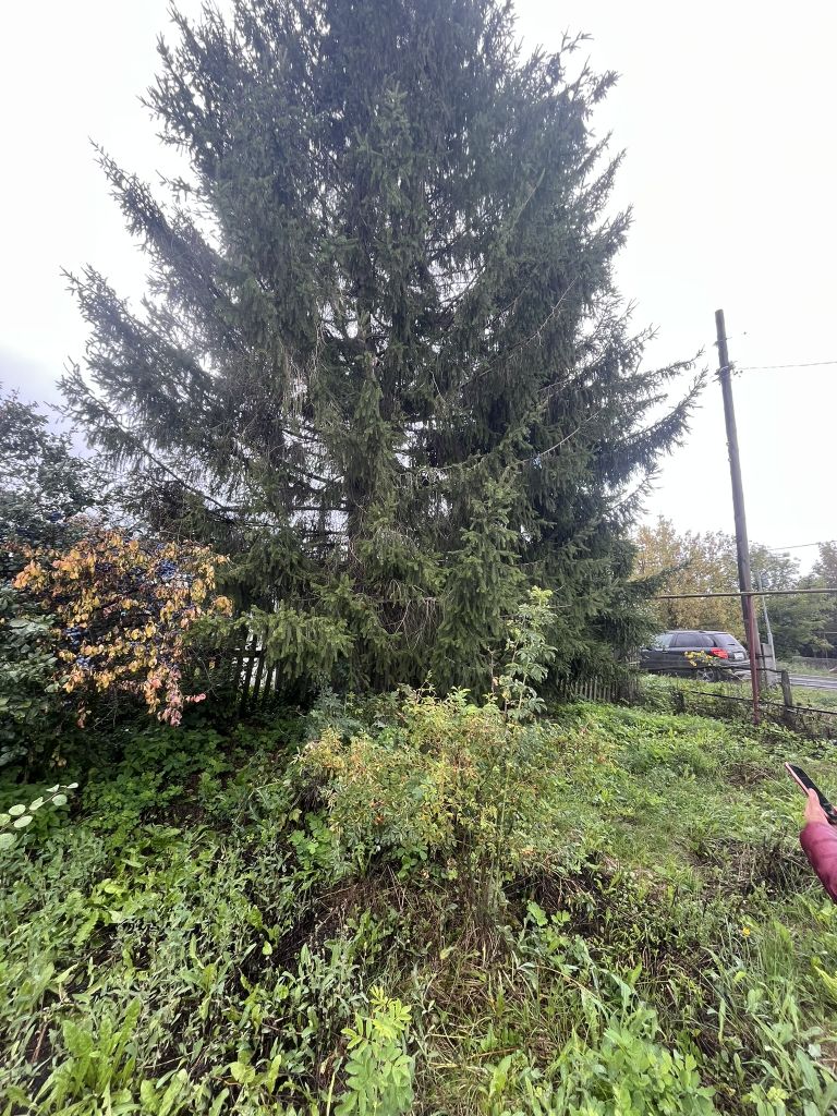 Продажа дома, 45м <sup>2</sup>, 13 сот., Чепас, Центральная