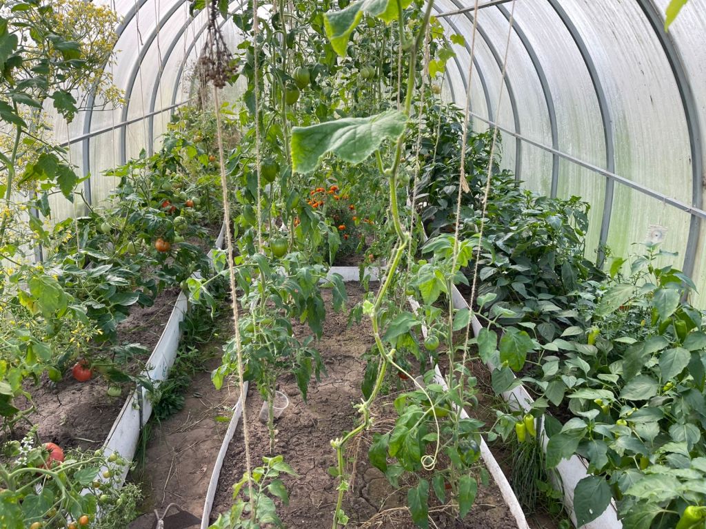 Продажа участка, Красное