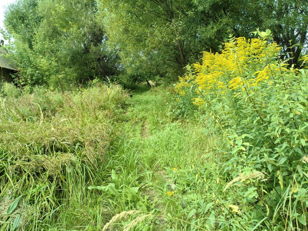 Продажа дома, 51м <sup>2</sup>, 24 сот., Манторово, Свердлова,  140