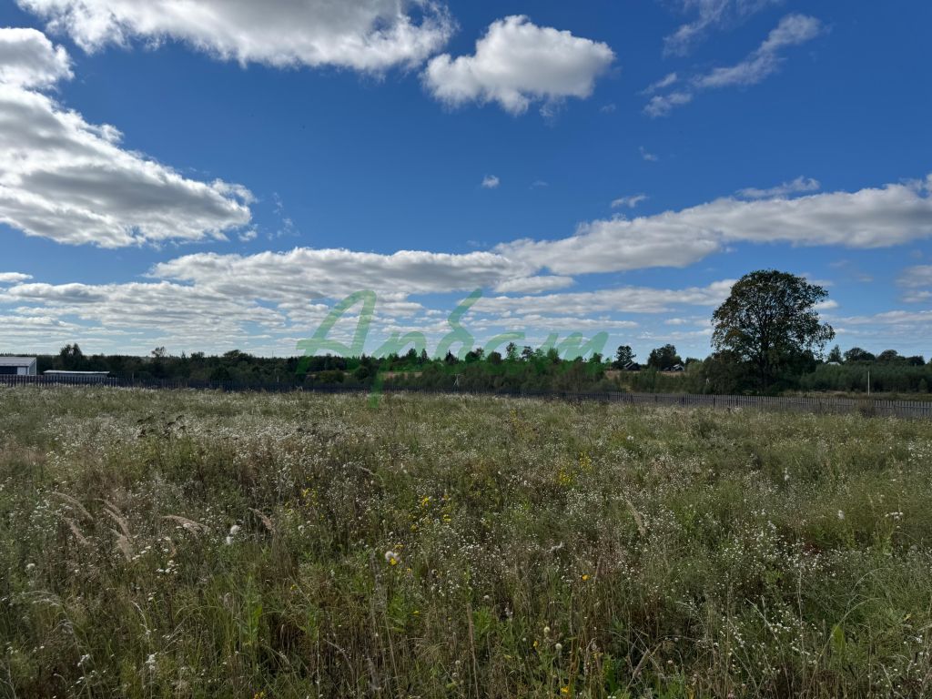 Продажа участка, Завидово