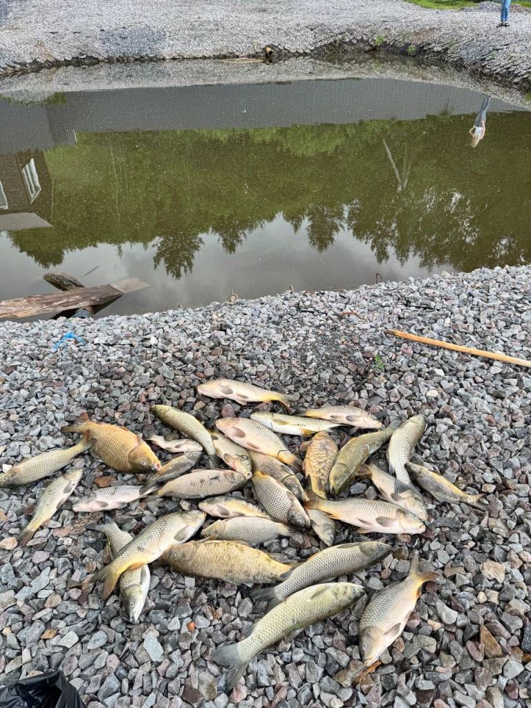 Продажа коммерческой недвижимости, 5000м <sup>2</sup>, Бармино, набережная ,  66