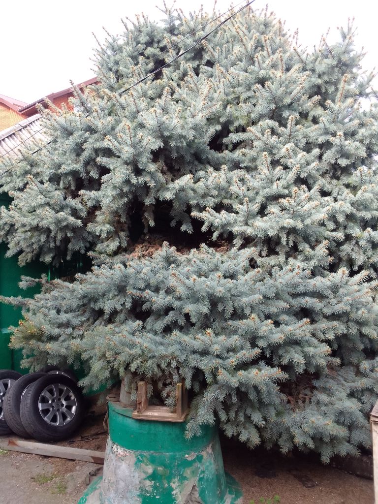 Продажа дома, 55м <sup>2</sup>, 6 сот., Батайск, Заводская ул