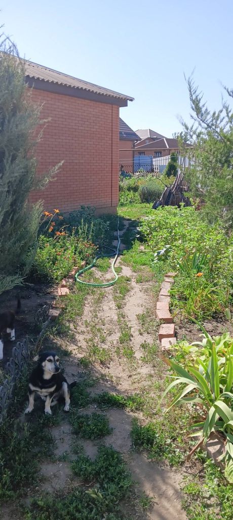 Продажа дома, 80м <sup>2</sup>, 4 сот., Батайск, Труд ДНТ дп