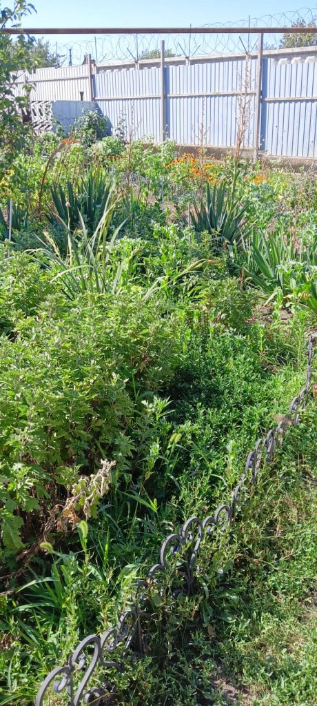 Продажа дома, 80м <sup>2</sup>, 4 сот., Батайск, Труд ДНТ дп