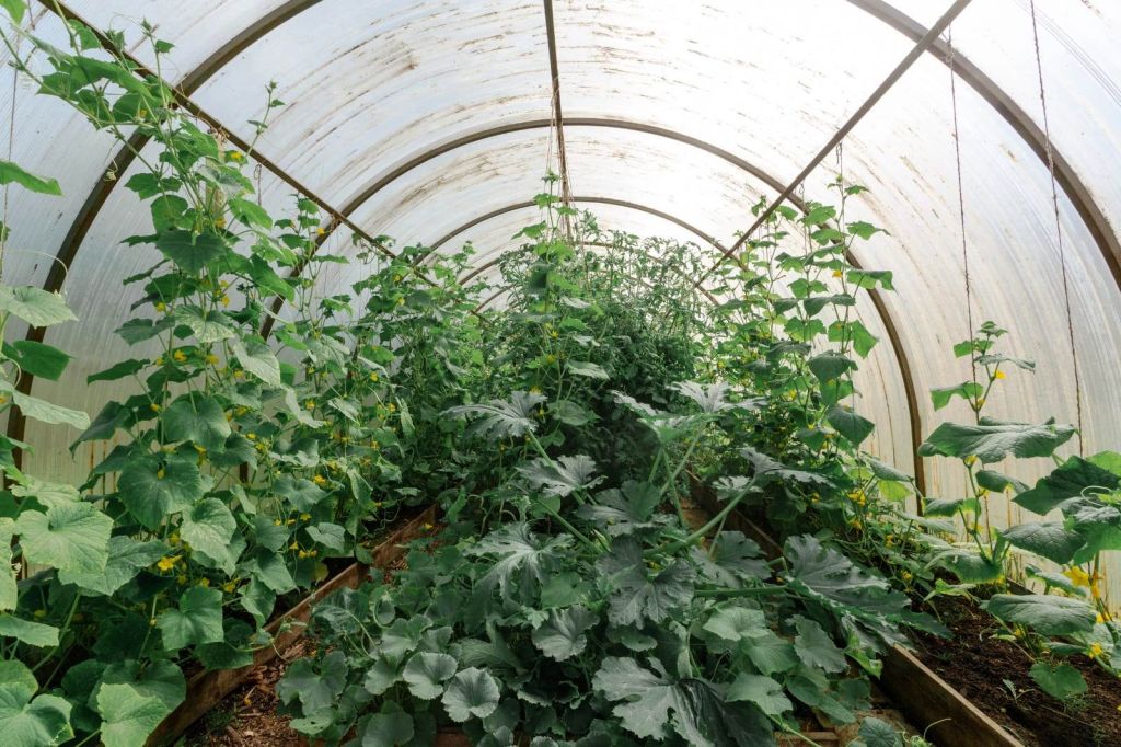 Продажа дома, 70м <sup>2</sup>, 6 сот., Кострома, Ребровская ул