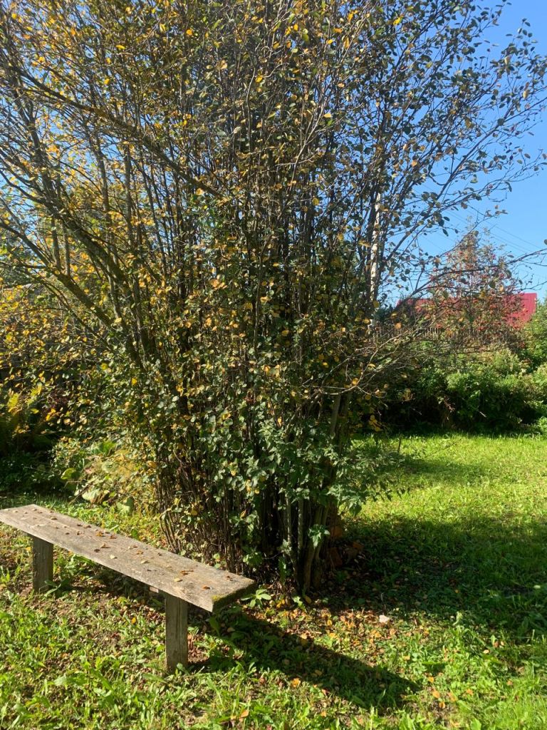 Продажа дома, 50м <sup>2</sup>, 10 сот., Тарханово