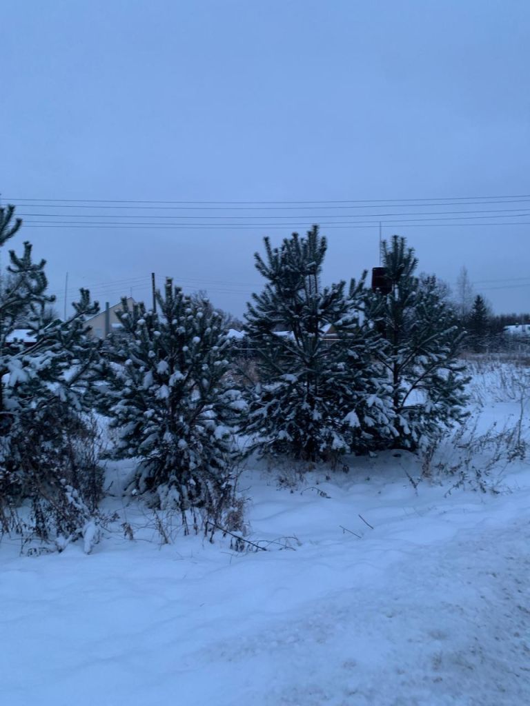 Продажа дома, 50м <sup>2</sup>, 10 сот., Тарханово