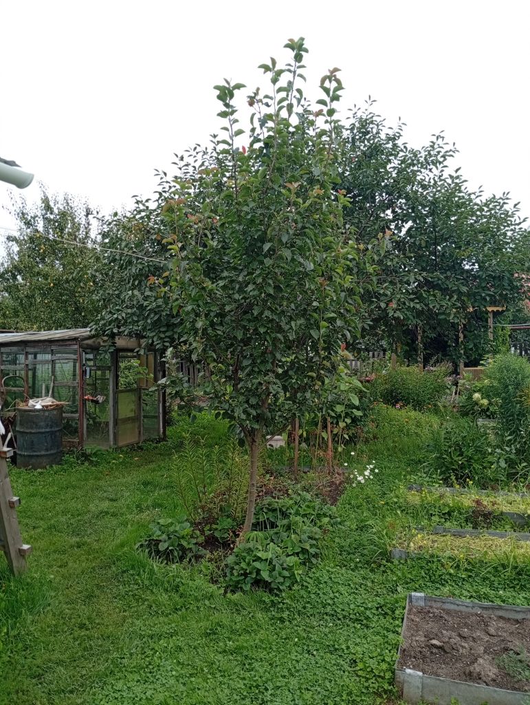 Продажа дома, 69м <sup>2</sup>, 6 сот., Иваново, Линейный 10-й пер