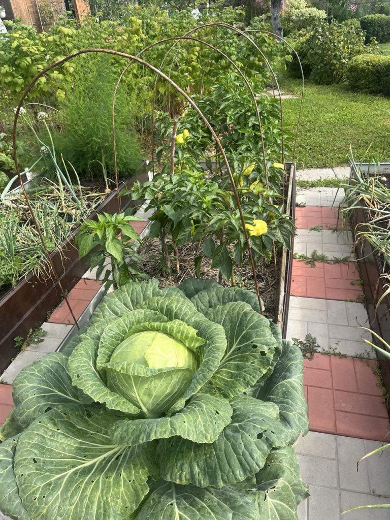 Продажа дачи, 32м <sup>2</sup>, 8 сот., Юловка