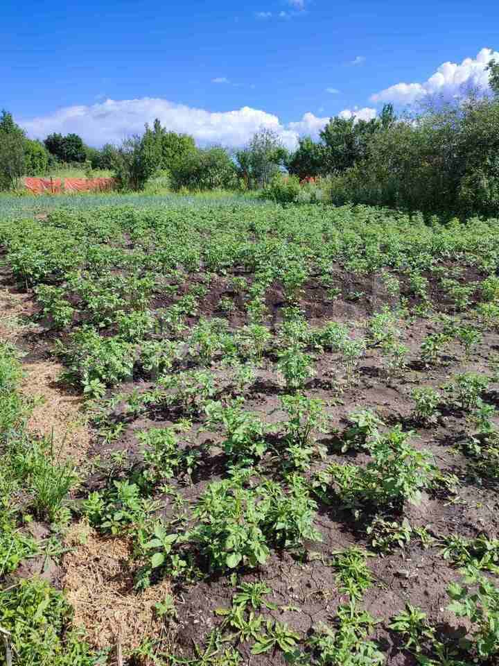 Продажа участка, Лубянцы, д 1а