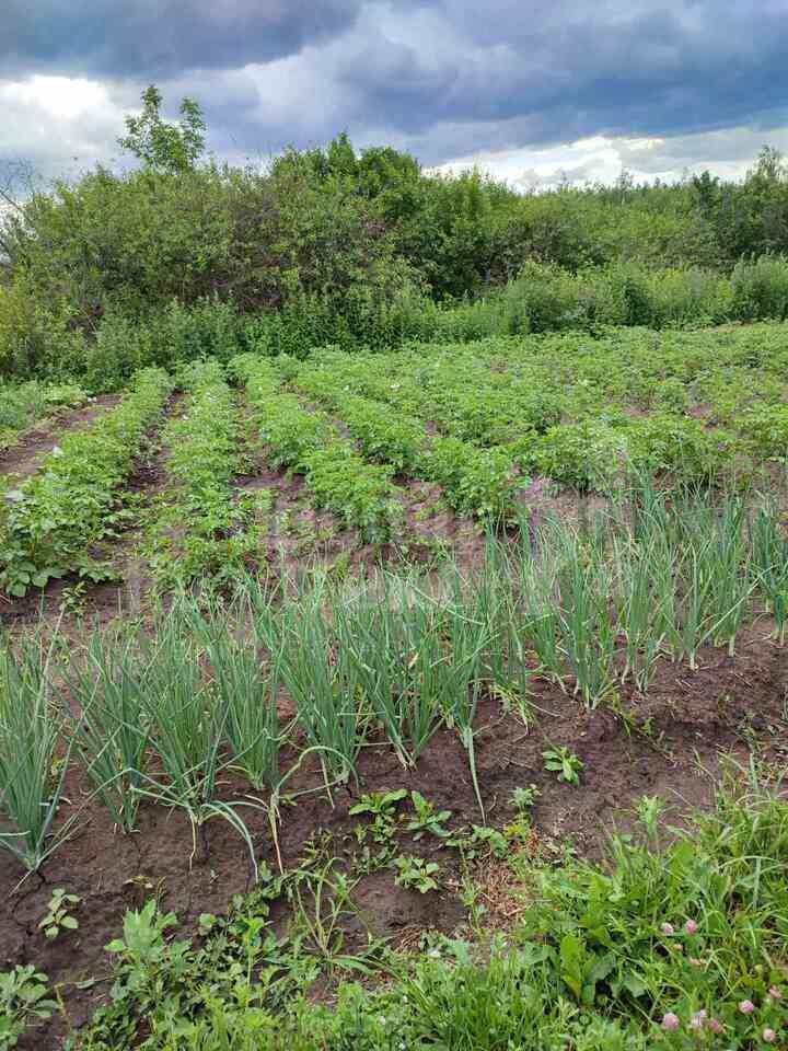 Продажа участка, Лубянцы, д 1а