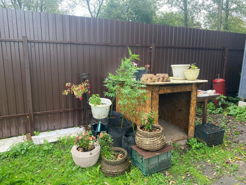 Продажа участка, Змеево