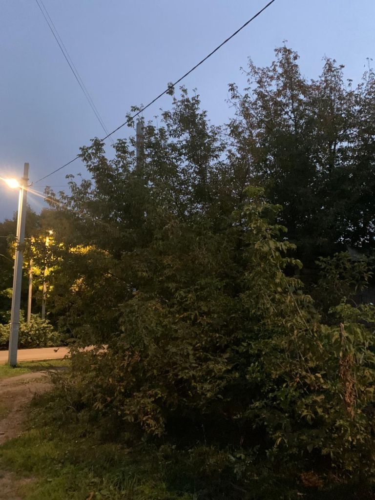 Продажа участка, Иваново, Вишневая 6-я ул